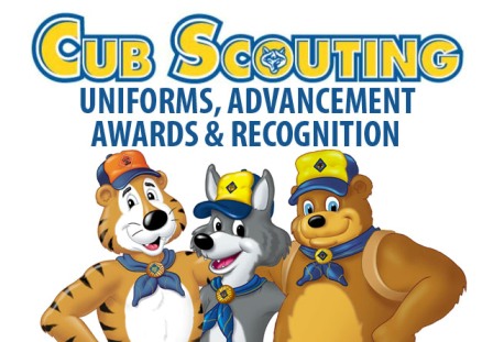 Cub Scouting - Awards